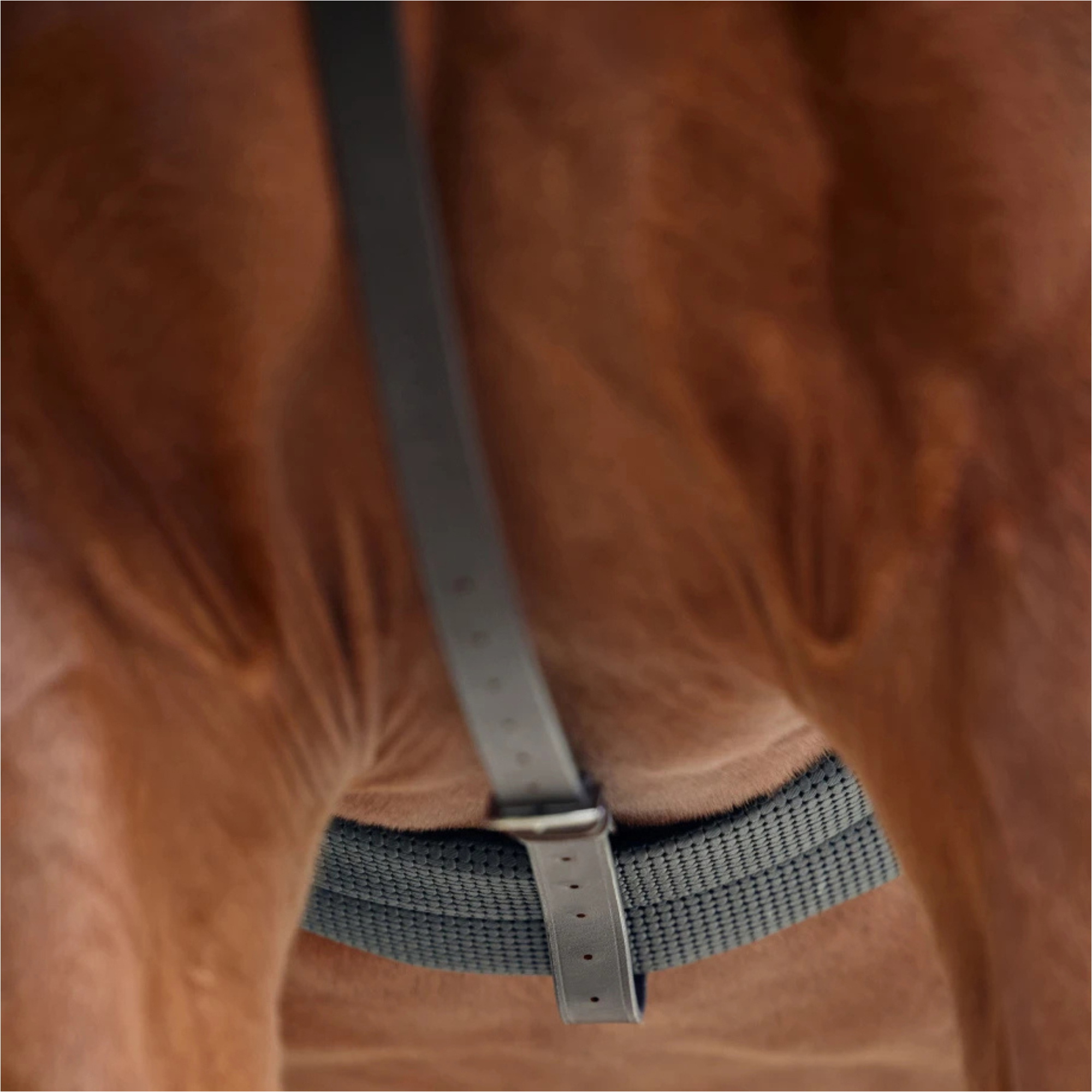 2026 Dublin Course Martingale 1031505 - Black